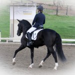 Fellini Interagro/Foto Rafaela Meibach