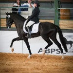 Fellini Interagro/Foto Interagro Lusitanos