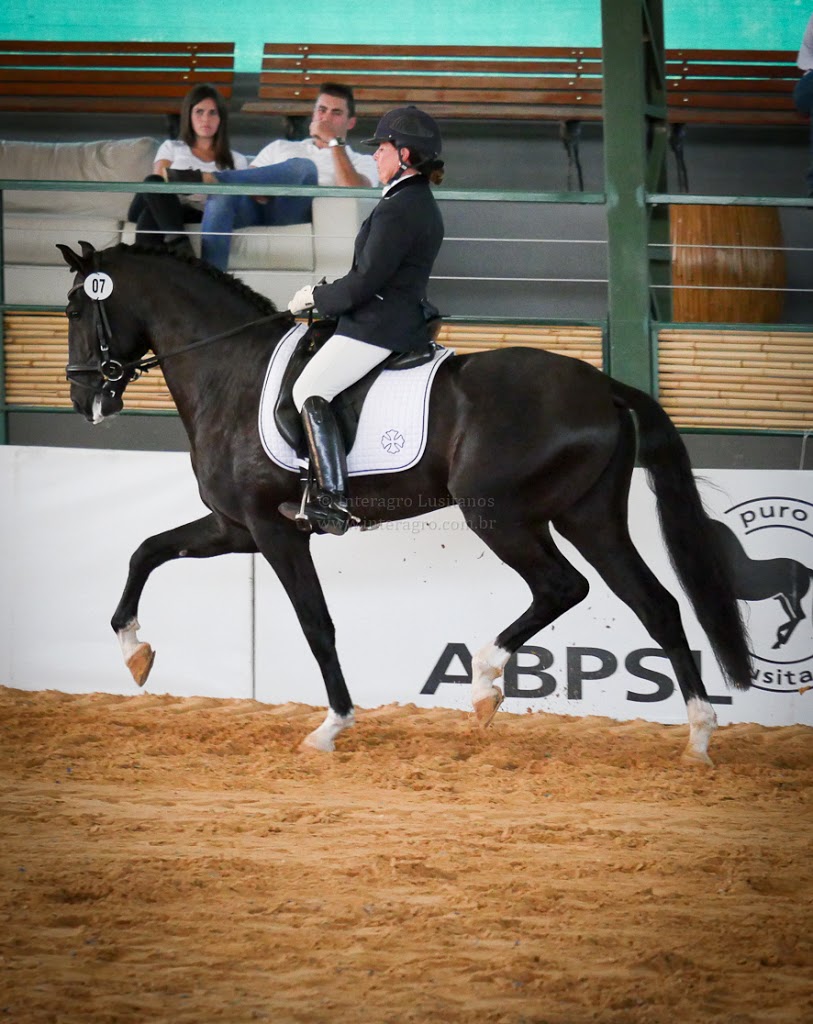 Fellini Interagro/Foto Interagro Lusitanos