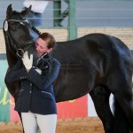 Fellini Interagro/Foto Interagro Lusitanos