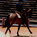 Narsil Interagro/Interagro Luistanos