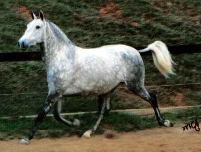 05 - Overture Interagro