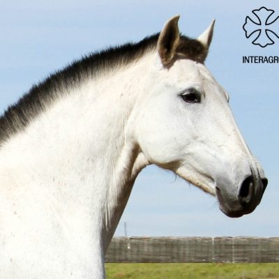 Belinda Interagro