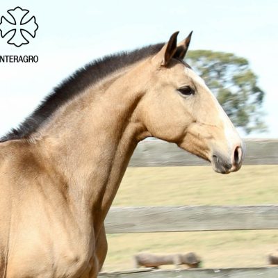 Cora Interagro