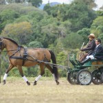 Quebracho Interagro/Elayne Massaini