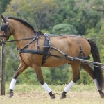 Quebracho Interagro/Elayne Massaini