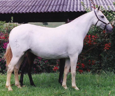 13 - Esperança II (PB)