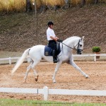 Gladiador Interagro & Edmar Brito/Interagro Lusitanos