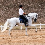 Gladiador Interagro & Edmar Brito/Interagro Lusitanos