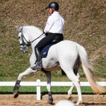 Gladiador Interagro/Interagro Lusitanos 08/2018