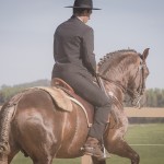 Divisadero Interagro, garanhão Lusitano alazão