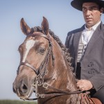 Divisadero Interagro, garanhão Lusitano alazão