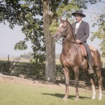 Divisadero Interagro, garanhão Lusitano alazão