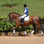 Quebracho Interagro/Julia Wentscher