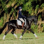 Fellini Interagro - Foto Martina Brandes