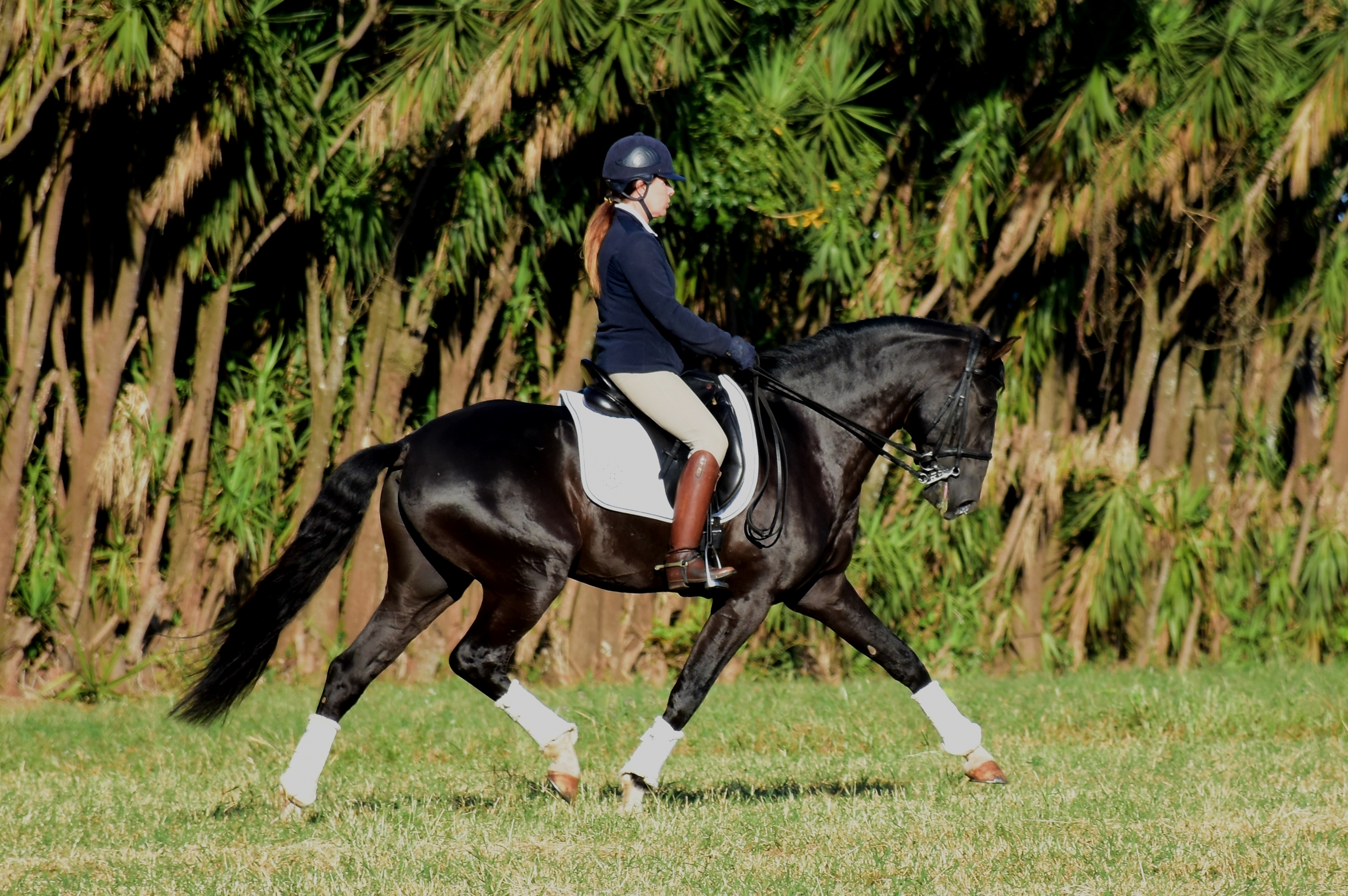 Fellini Interagro - Foto Martina Brandes
