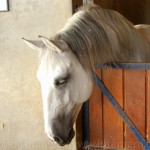 Embaixador Interagro