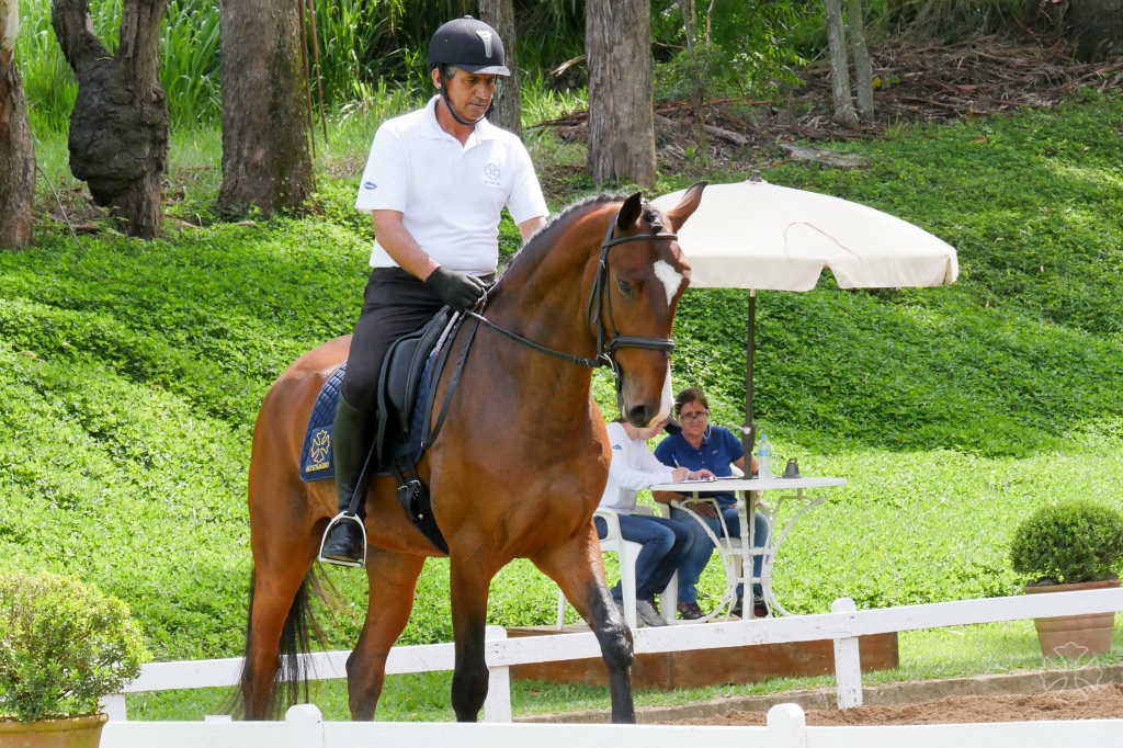 Hectar Interagro/Interagro Lusitanos