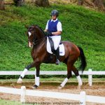 Hectar Interagro, Lusitano competindo em Série Forte II/Foto: Interagro Lusitanos
