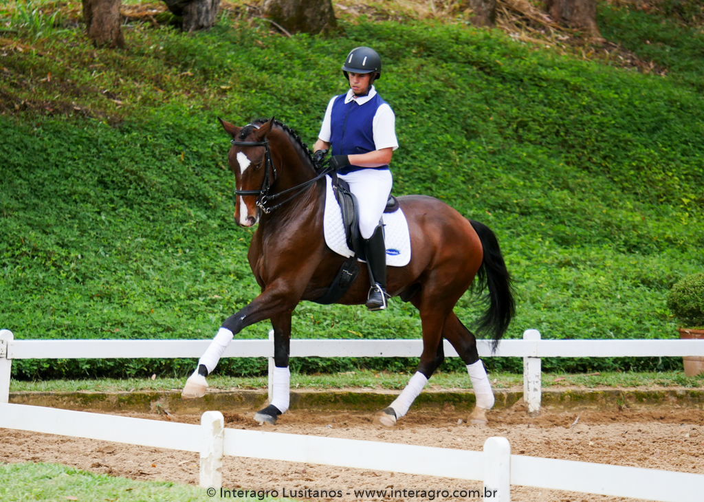 Hectar Interagro, Lusitano competindo em Série Forte II/Foto: Interagro Lusitanos