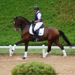Hectar Interagro, Lusitano competindo em Série Forte II/Foto: Interagro Lusitanos