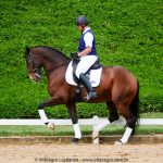 Hectar Interagro, Lusitano competindo em Série Forte II/Foto: Interagro Lusitanos