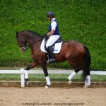 Hectar Interagro, Lusitano competindo em Série Forte II/Foto: Interagro Lusitanos