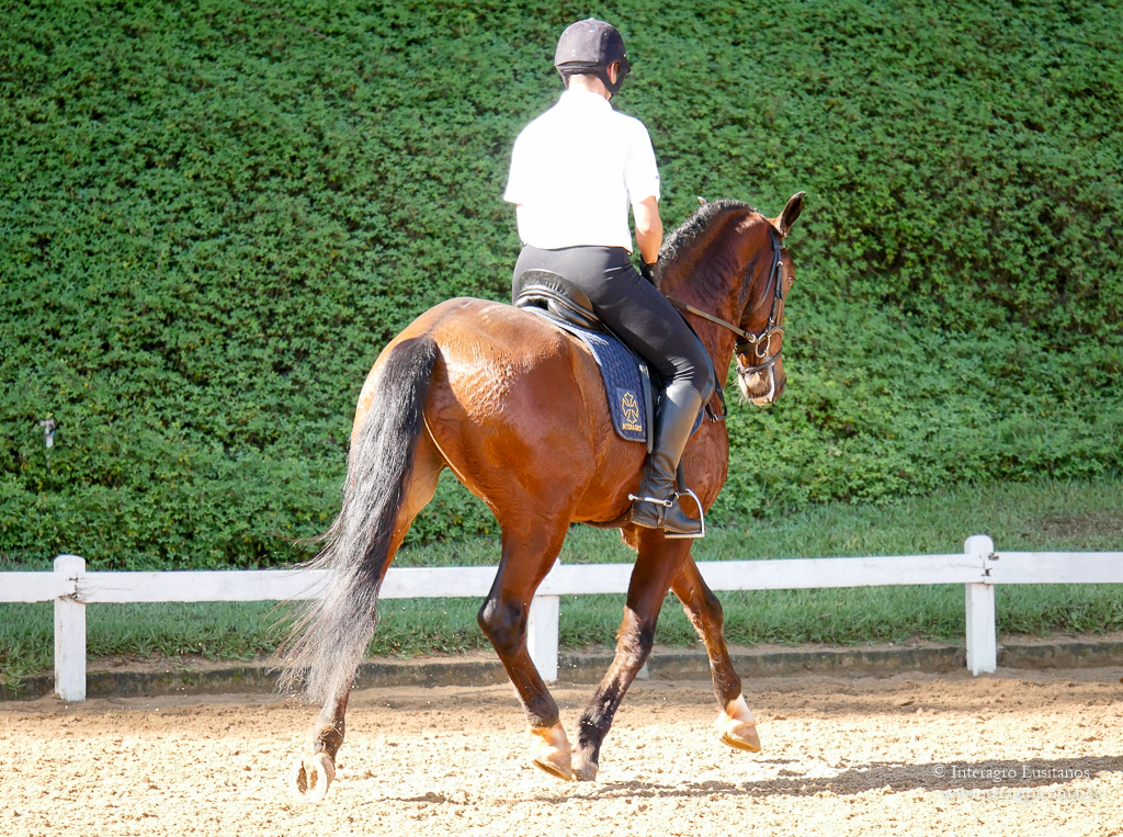 Alexandre Souza & Hectar Interagro/Interagro Lusitanos
