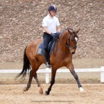 Alexandre Souza & Hectar Interagro/Interagro Lusitanos