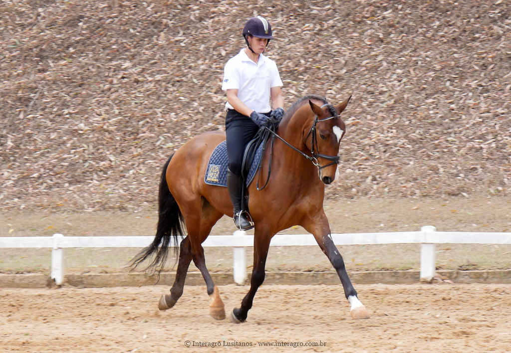 Alexandre Souza & Hectar Interagro/Interagro Lusitanos