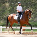 Hectar Interagro na 2a etapa do Ranking Interno de Adestramento 2018