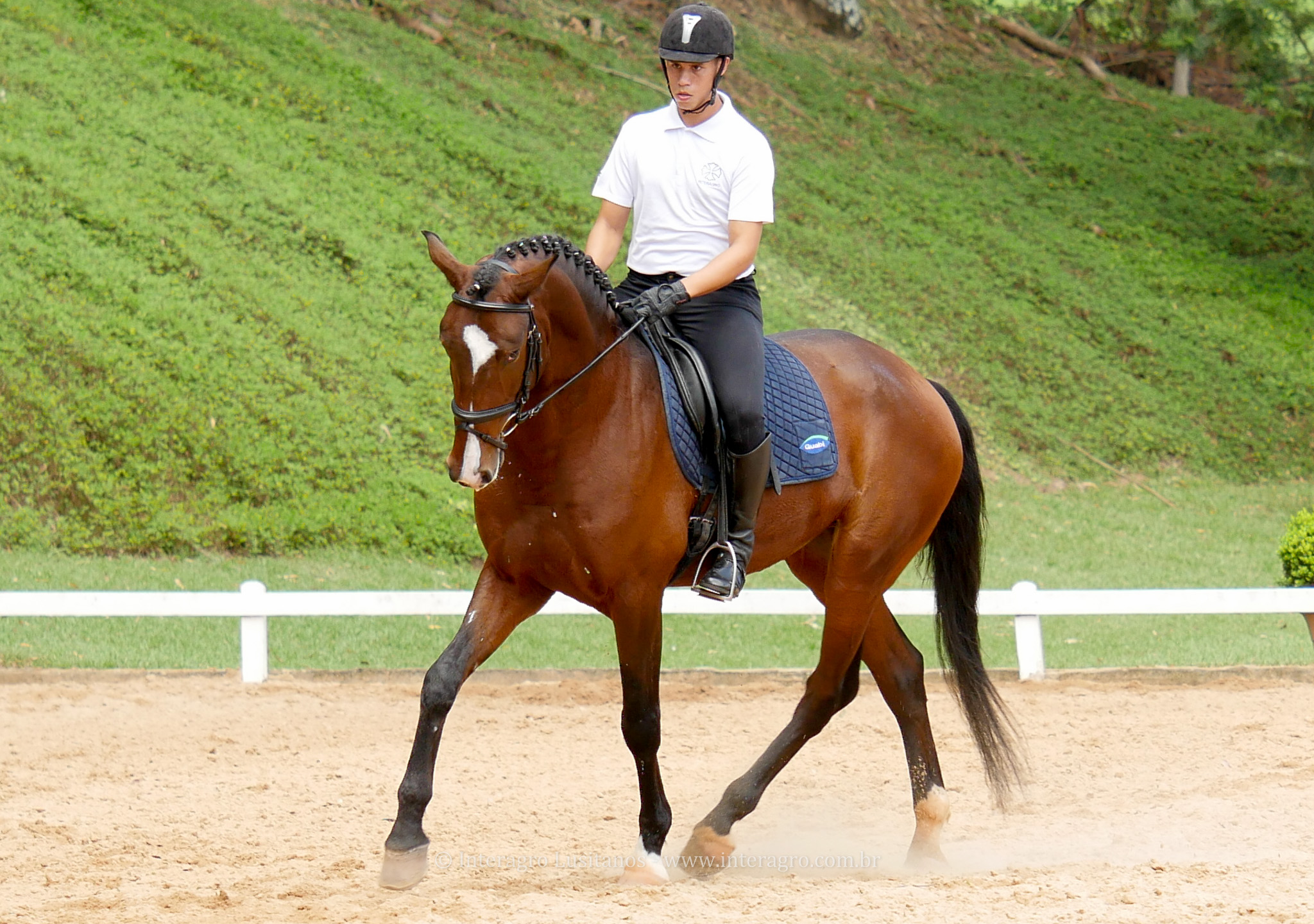 Hectar Interagro/Interagro Lusitanos