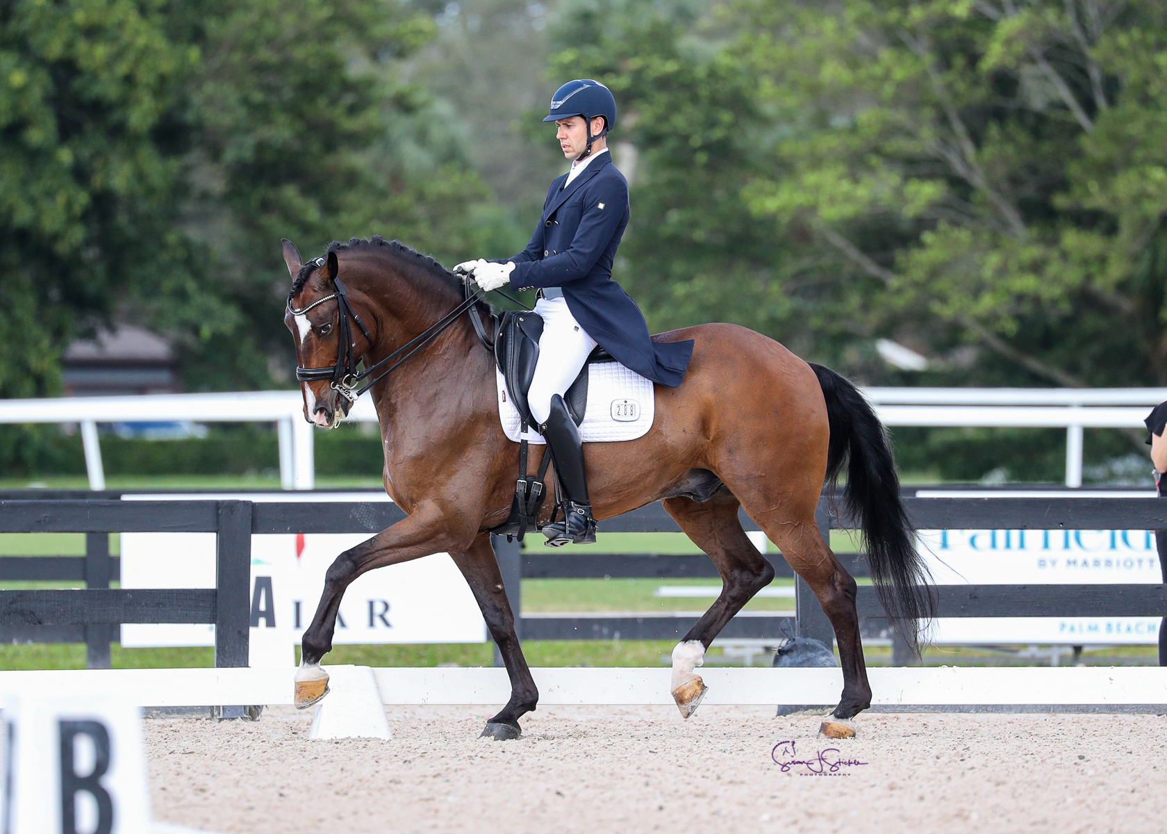 Hectar Interagro - AGDF 3/Susan Stickle
