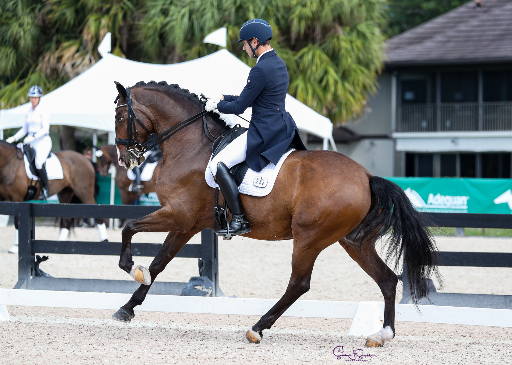 Hectar Interagro - AGDF 3/Susan Stickle