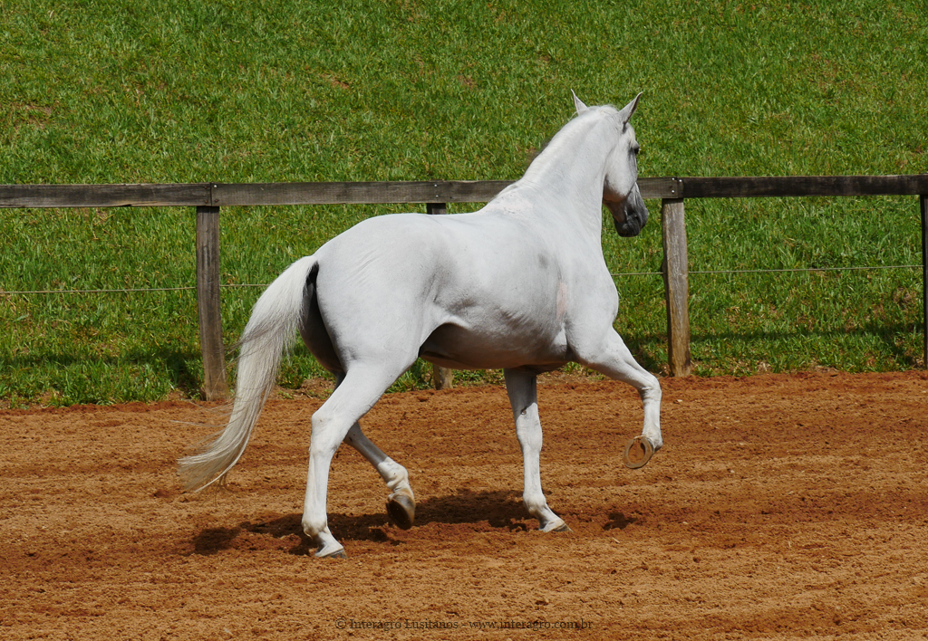 Valerius Interagro/Interagro Lusitanos