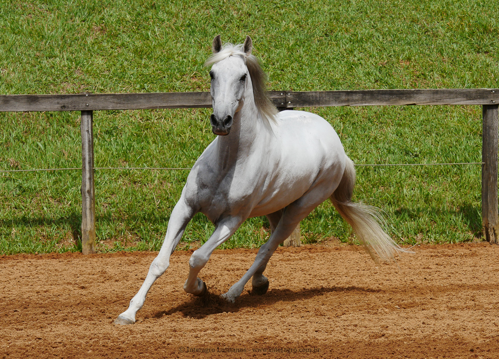 Valerius Interagro/Interagro Lusitanos