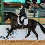 Fellini Interagro/Interagro Lusitanos