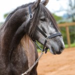 Jackpot Interagro/Foto: TUPA