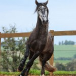 Jackpot Interagro/Foto: TUPA