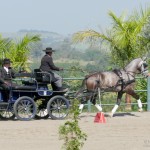Jackpot Interagro vencendo a 1a etapa do Ranking de Atrelagem CBH 2018/Interagro Lusitanos