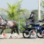Jackpot Interagro vencendo a 1a etapa do Ranking de Atrelagem CBH 2018/Interagro Lusitanos