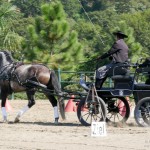 Jackpot Interagro vencendo a 1a etapa do Ranking de Atrelagem CBH 2018/Interagro Lusitanos