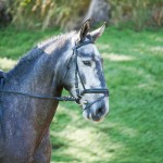 Antonio Souza & Jackpot Interagro/Interagro Lusitanos