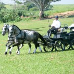 Jackpot Interagro & Lyco Interagro/Martina Brandes