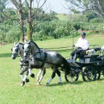 Jackpot Interagro & Lyco Interagro/Martina Brandes