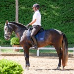 Jackpot Interagro/Interagro Lusitanos