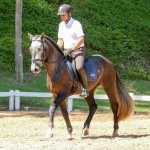 Jackpot Interagro/Interagro Lusitanos