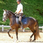 Jackpot Interagro/Interagro Lusitanos