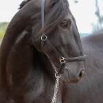 Juarez Interagro/Photo TUPA