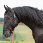 Juarez Interagro/Photo TUPA